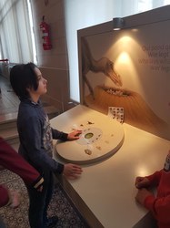  Visite du musée des Sciences naturelles et Balade à Bruxelles 