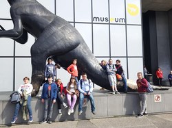  Visite du musée des Sciences naturelles et Balade à Bruxelles 
